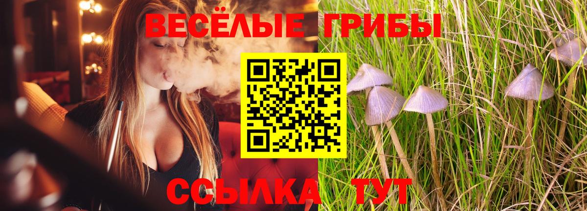 Галлюциногенные грибы ЛСД  Вход с VPN  Дзержинск  Псилоцибиновые грибы Magic Shrooms 